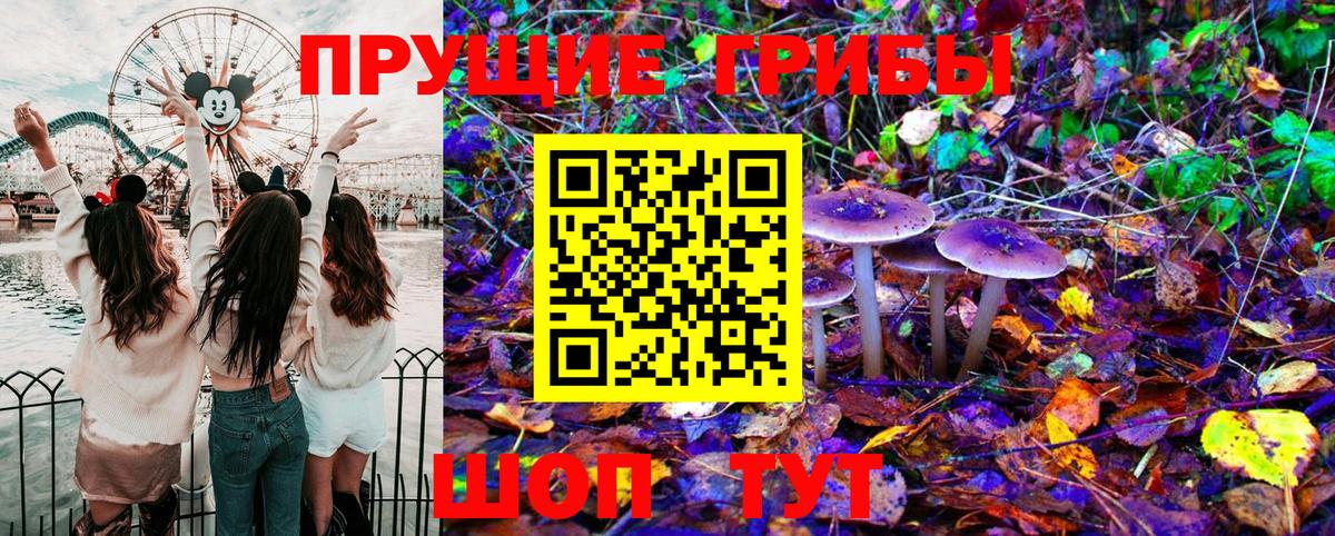 Псилоцибиновые грибы MAGIC MUSHROOMS  Вход с VPN  Котовск 